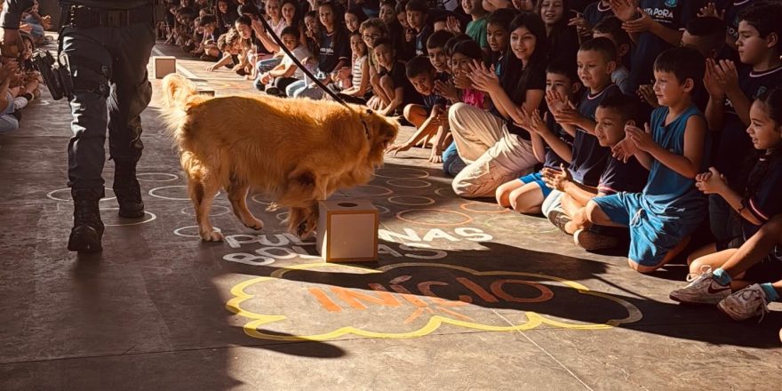 643561505_18255183334288943_8910074206150155012_n