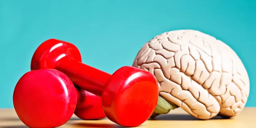 exercicios_cerebro exercicios_cerebro